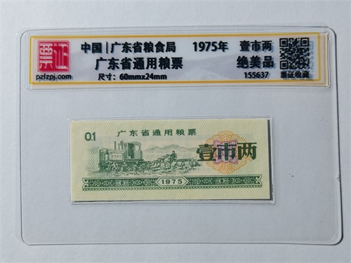155637