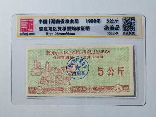 156559
