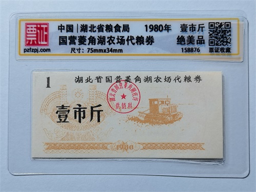 158876